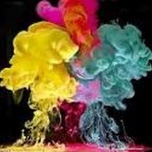 Meet your Posher, Isabel